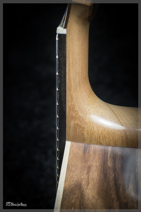 Luthier (10)