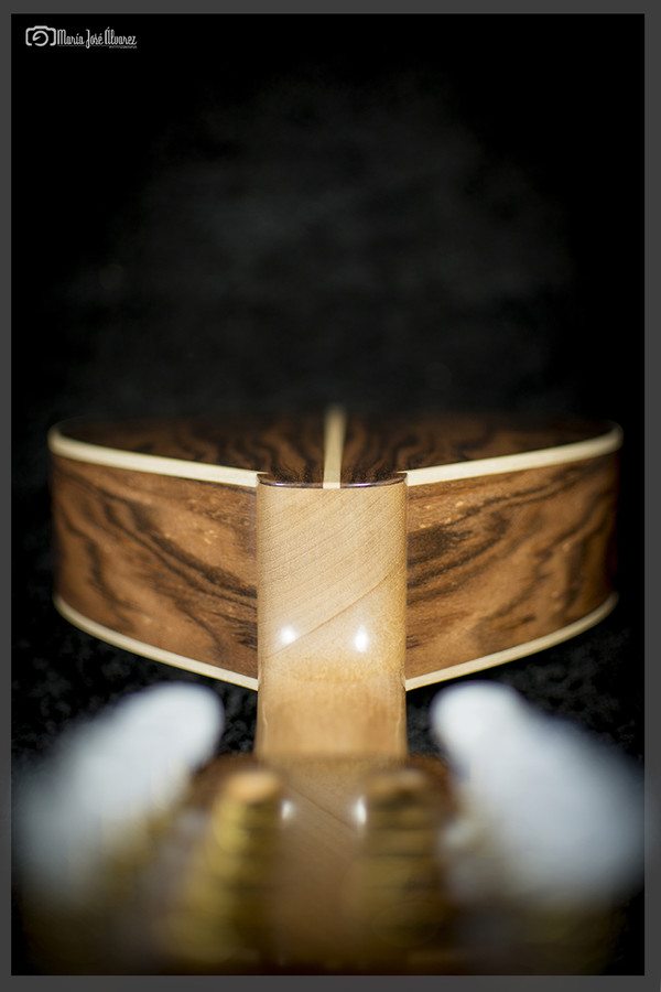 Luthier (12)