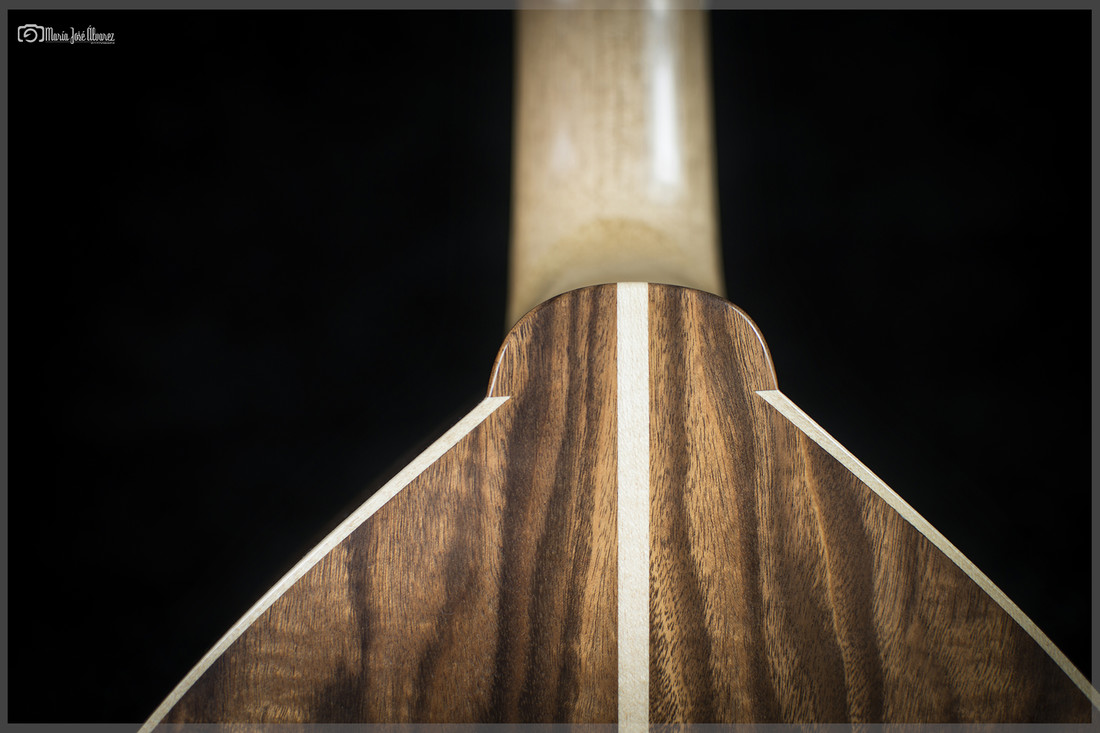 Luthier (14)