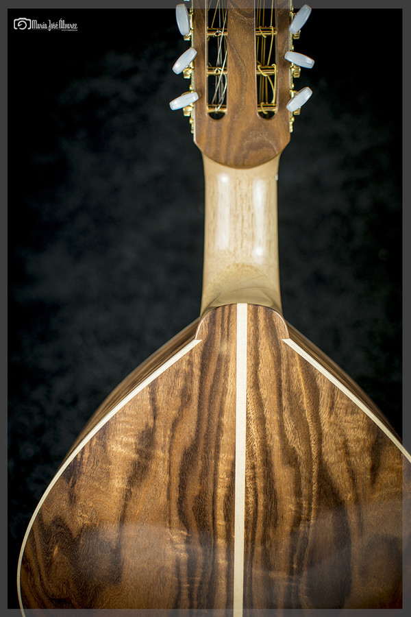 Luthier (15)