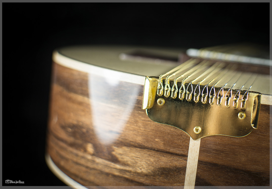 Luthier (16)