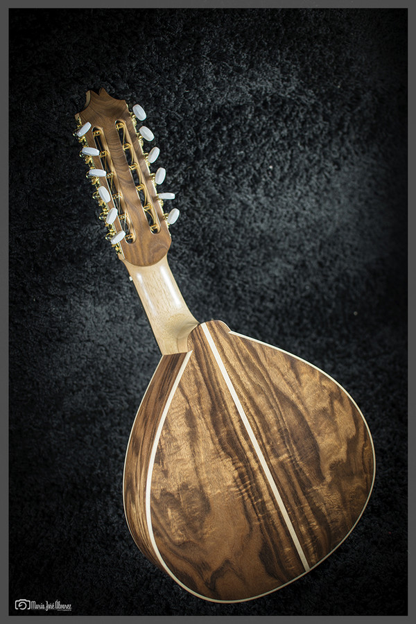 Luthier (21)