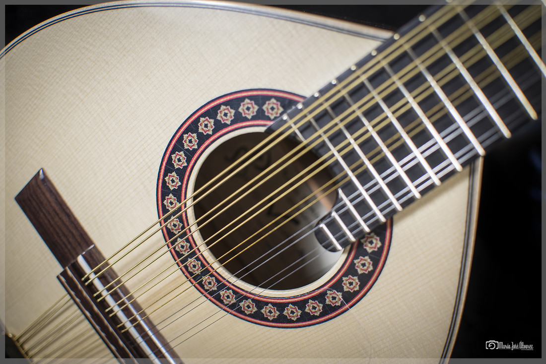 Luthier (4)