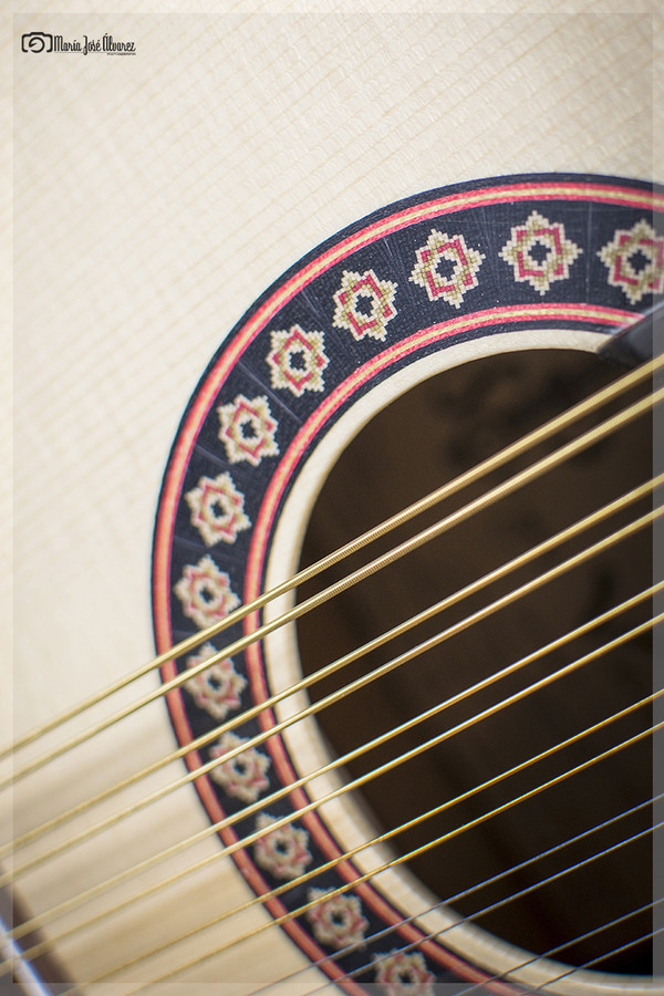 Luthier (5)