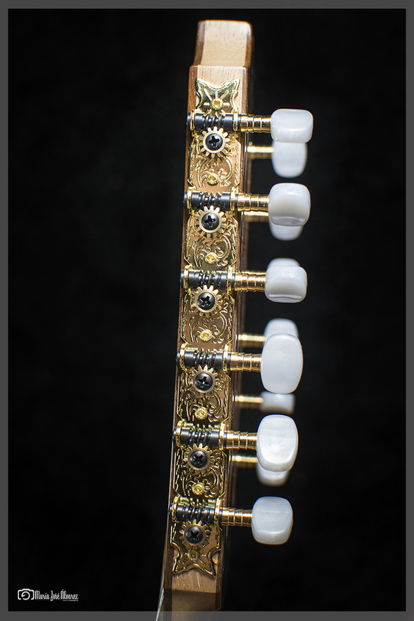 Luthier (9)